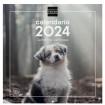 Calendario Pared Finocam 300x300 Imágenes Cachorros 7803037