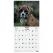 Calendario Pared Finocam 300x300 Imágenes Cachorros 7803037