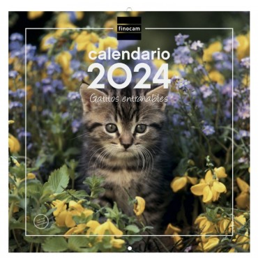 Calendario Pared Finocam 300x300 Imágenes Gatitos 7803038