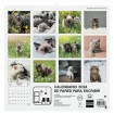 Calendario Pared Finocam 300x300 Imágenes Gatitos 7803038