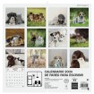 Calendario Pared Finocam 300x300 Imágenes Perro y Gato 7803039
