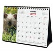 Calendario Mesa Finocam S 210x150 Imágenes Gatitos 780323823